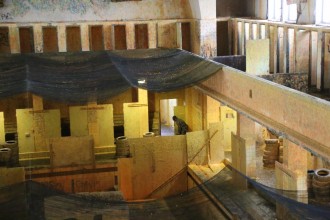 69cash_war_race_2016_241  